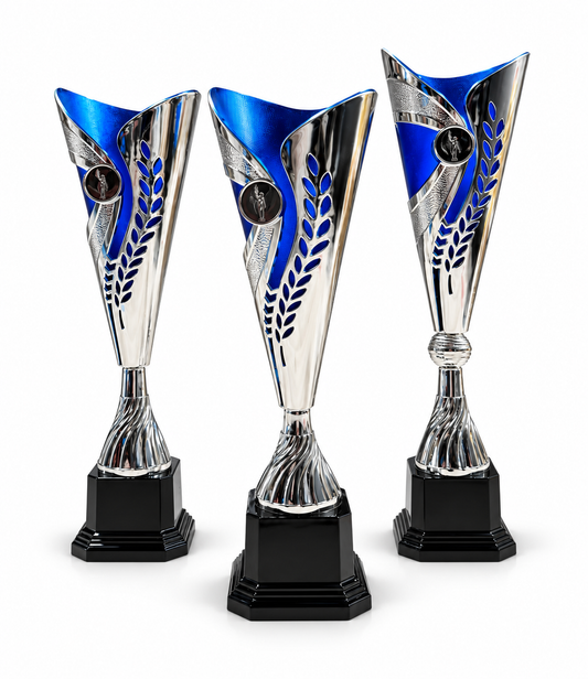 Trophée sportif