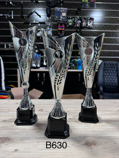Trophée sportif