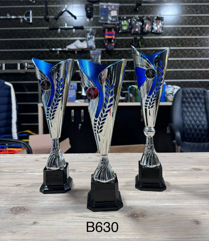 Trophée sportif
